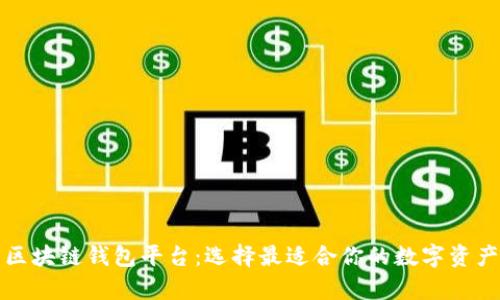 全面解析区块链钱包平台：选择最适合你的数字资产存储方案