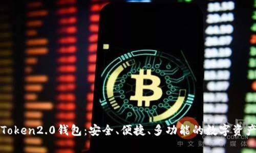 全面解析Token2.0钱包：安全、便捷、多功能的数字资产管理利器
