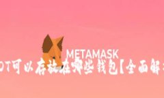 20链USDT可以存放在哪些钱包？全面解析与推荐