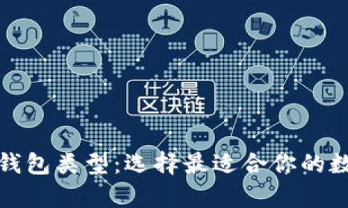 全面解析比特币钱包类型：选择最适合你的数字货币存储方案