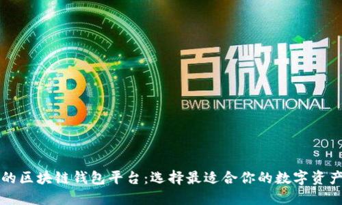 寻找安全的区块链钱包平台：选择最适合你的数字资产保护方案