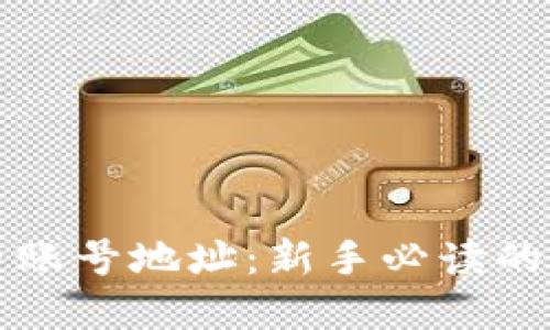 如何安全管理虚拟币账号地址：新手必读的防护技巧与最佳实践