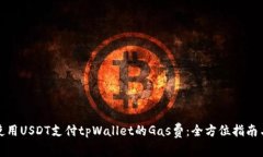 如何使用USDT支付tpWallet的Gas费：全方位指南与技