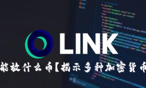 比特币钱包都能放什么币？揭示多种加密货币存储的可能性