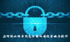 应对假比特币钱包余额的有效策略与技巧