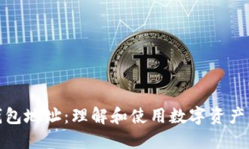 加密钱包地址：理解和使用数字资产的基础