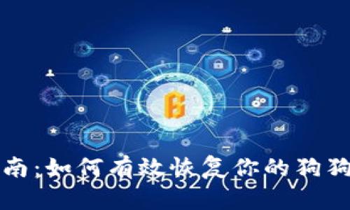 全面指南：如何有效恢复你的狗狗币钱包