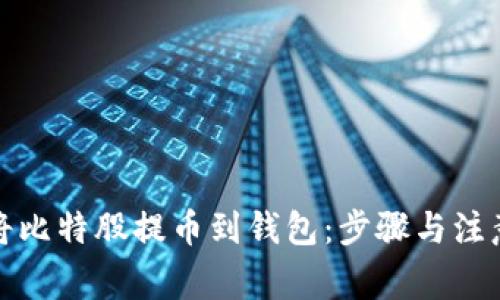如何轻松将比特股提币到钱包：步骤与注意事项详解