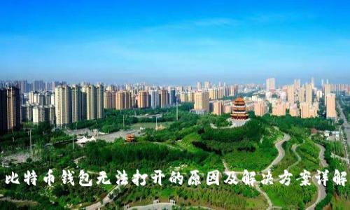 比特币钱包无法打开的原因及解决方案详解