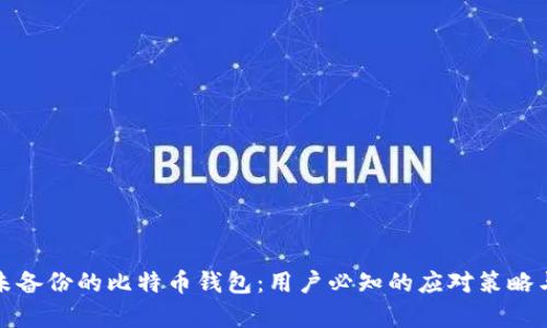 如何挽救未备份的比特币钱包：用户必知的应对策略与恢复技巧