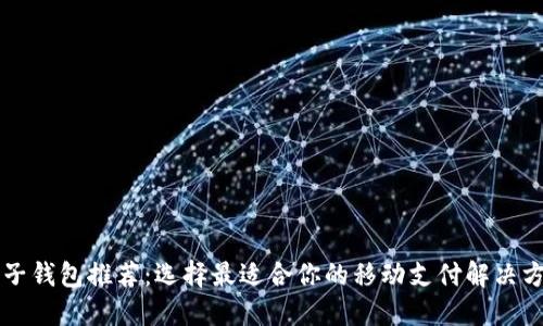 电子钱包推荐：选择最适合你的移动支付解决方案