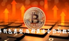 全面解析比特币钱包类型：选择最适合你的数字