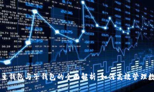 区块链主钱包与子钱包的全面解析：如何高效管理数字资产