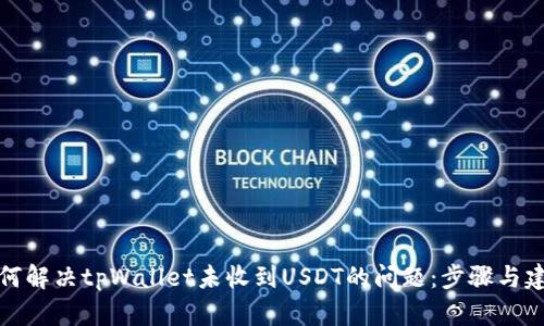 如何解决tpWallet未收到USDT的问题：步骤与建议