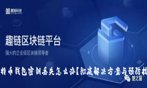 比特币钱包密钥丢失怎么办？彻底解决方案与预防技巧
