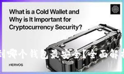 比特币存到哪个钱包最安全？全面解析最优选项