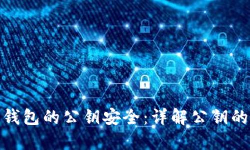 如何保护比特币钱包的公钥安全：详解公钥的风险与防护措施