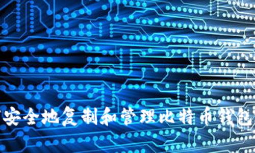 如何安全地复制和管理比特币钱包地址
