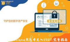 如何在Solana钱包中充入USDT：完整指南
