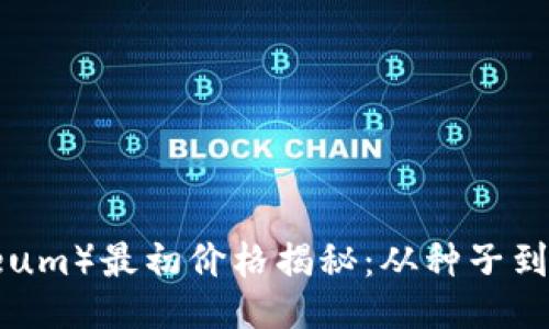  以太坊（Ethereum）最初价格揭秘：从种子到巨头的成长之路