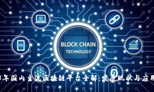 2023年国内主流区块链平台全解：发展现状与应用前景
