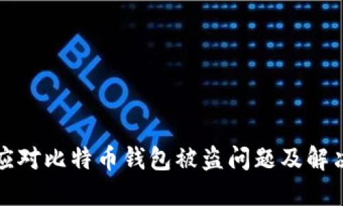 如何应对比特币钱包被盗问题及解决方案