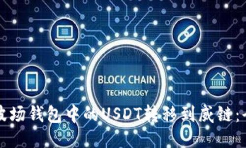 如何将波场钱包中的USDT转移到威链：全面指南