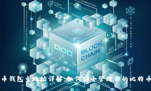 比特币钱包主地址详解：如何安全管理你的比特币资产